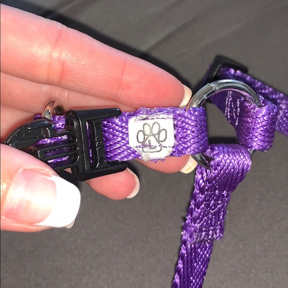 Dog Bundle 💜 - Picture 2 of 8